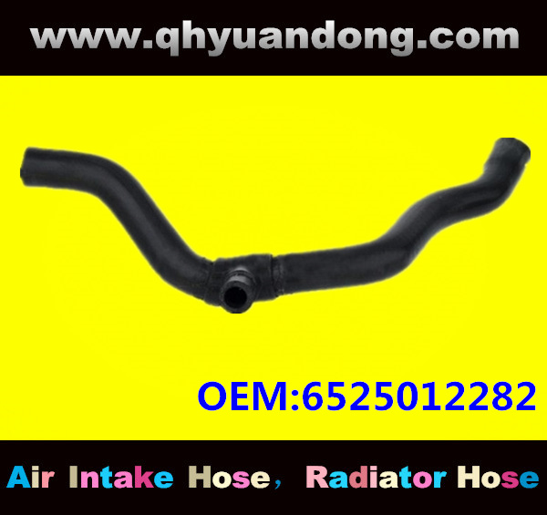 Truck SILICONE HOSE 6525012282