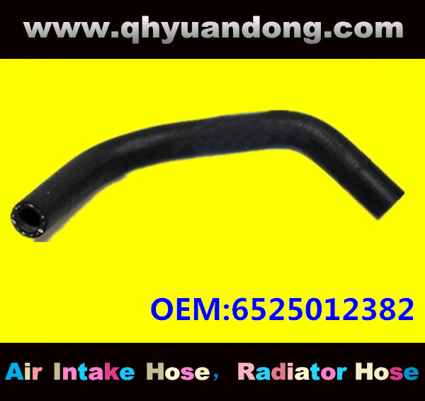 Truck SILICONE HOSE 6525012382