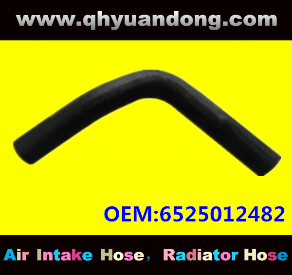 Truck SILICONE HOSE 6525012482