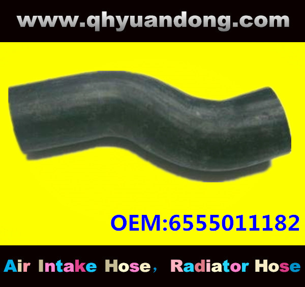 Truck SILICONE HOSE 6555011182