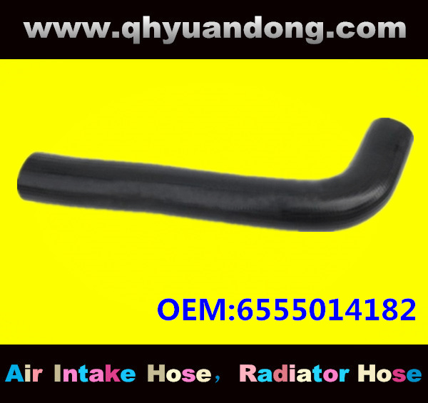 Truck SILICONE HOSE 6555014182