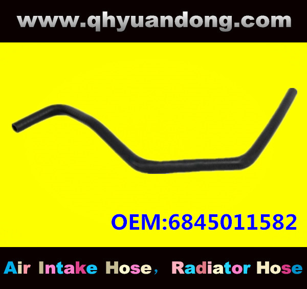 Truck SILICONE HOSE 6845011582