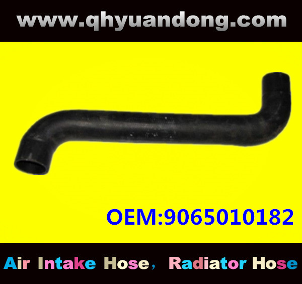 Truck SILICONE HOSE 9065010182