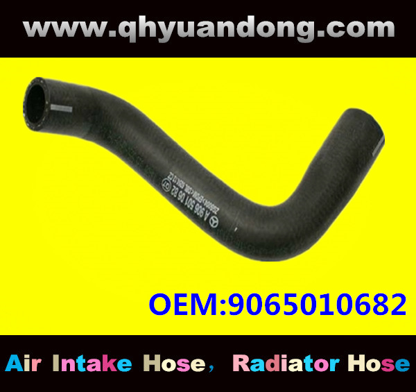 Truck SILICONE HOSE 9065010682