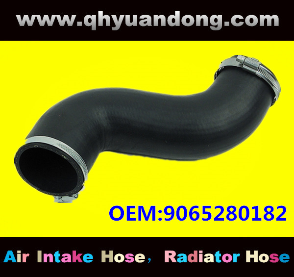 Truck SILICONE HOSE 9065280182