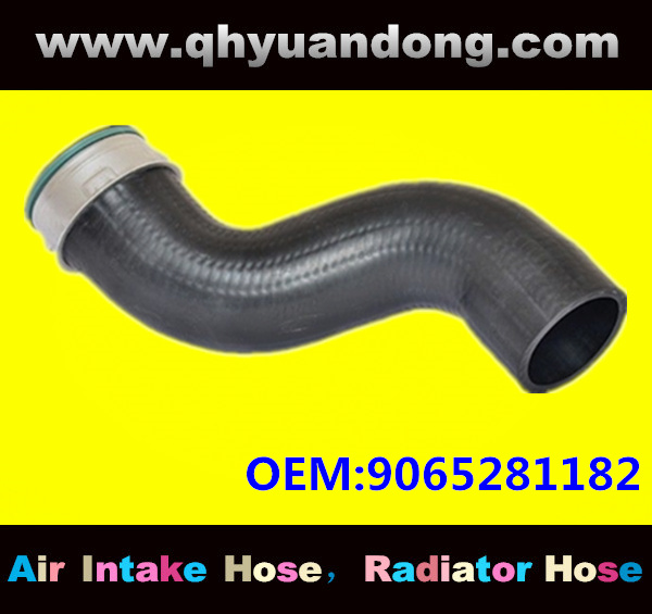 Truck SILICONE HOSE 9065281182