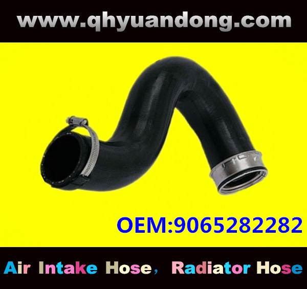 Truck SILICONE HOSE 9065282282