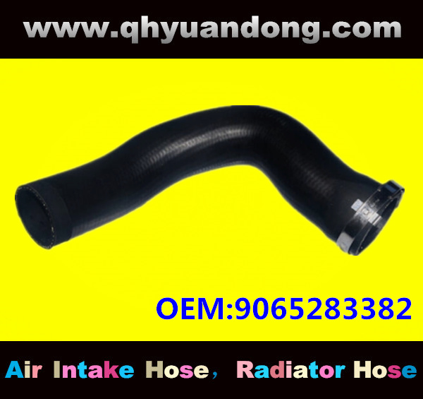 Truck SILICONE HOSE 9065283382