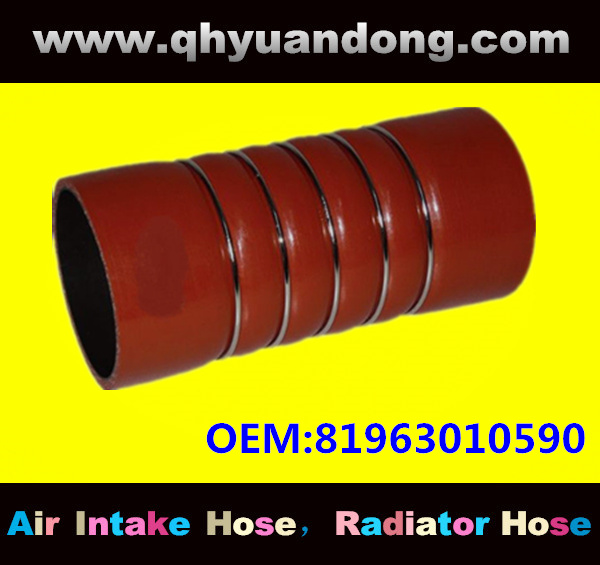 Truck SILICONE HOSE 81963010590