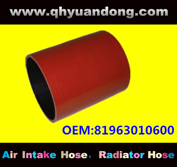 Truck SILICONE HOSE 81963010600