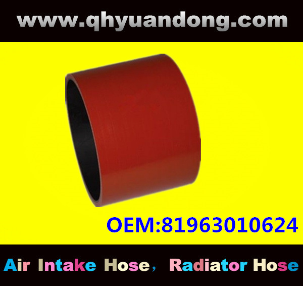 Truck SILICONE HOSE 81963010624