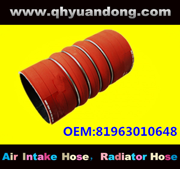 Truck SILICONE HOSE 81963010648