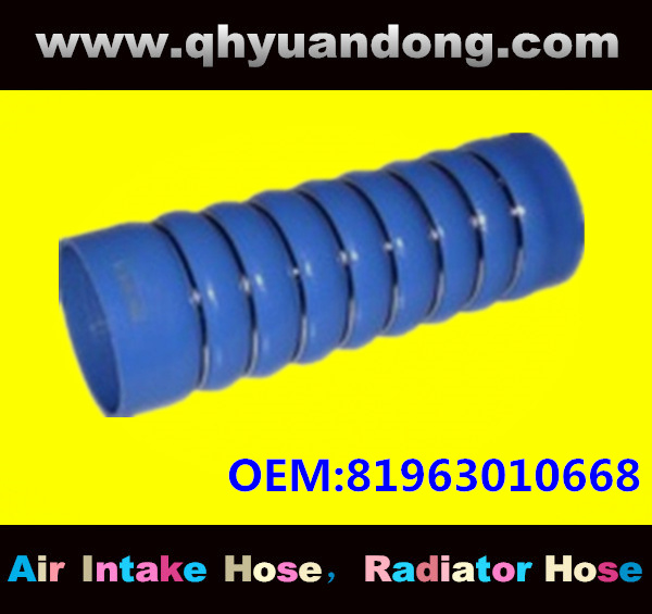 Truck SILICONE HOSE 81963010668