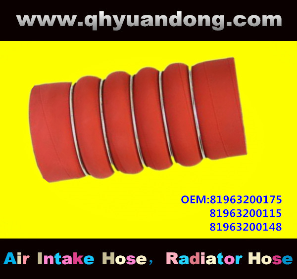 Truck SILICONE HOSE 81963200175 81963200115 81963200148