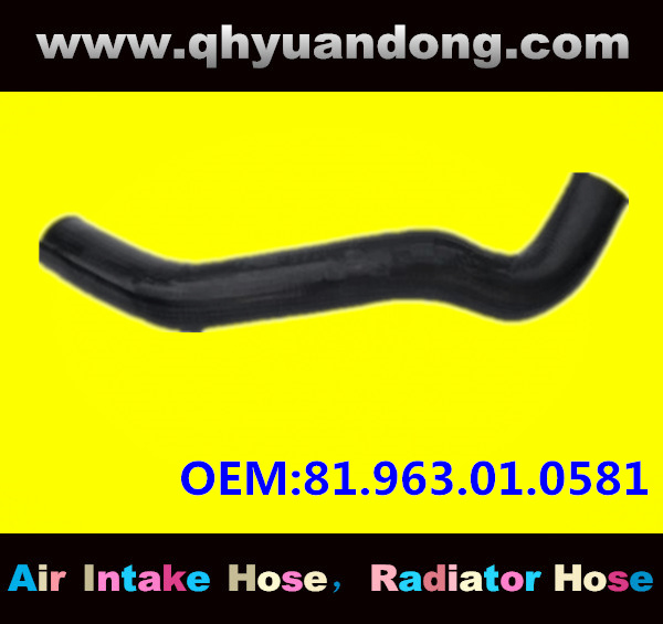 Truck SILICONE HOSE 81.963.01.0581