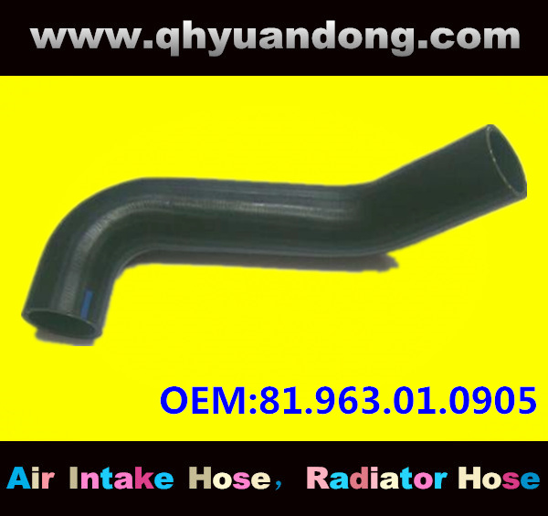 Truck SILICONE HOSE 81.963.01.0905