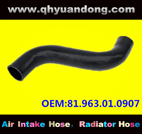 Truck SILICONE HOSE 81.963.01.0907