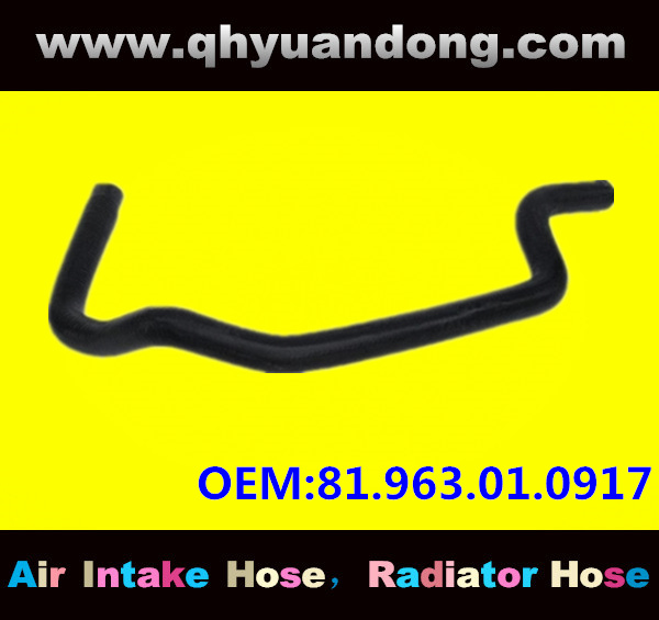 Truck SILICONE HOSE 81.963.01.0917