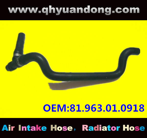 Truck SILICONE HOSE 81.963.01.0918