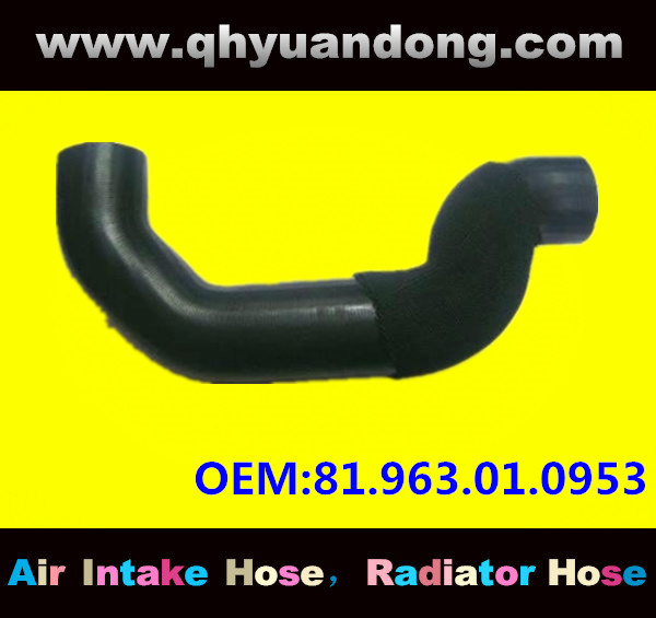 Truck SILICONE HOSE 81.963.01.0953