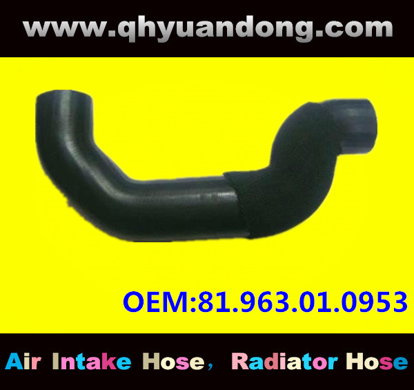 Truck SILICONE HOSE 81.963.01.0953