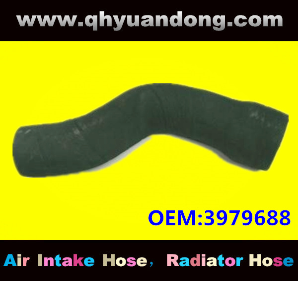 Truck SILICONE HOSE 3979688