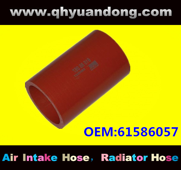 Truck SILICONE HOSE 61586057