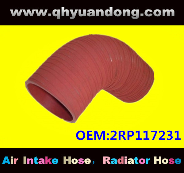 Truck SILICONE HOSE 2RP117231