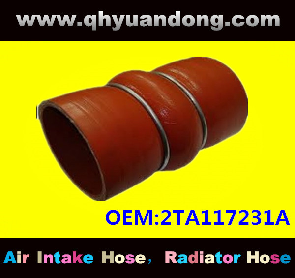 Truck SILICONE HOSE 2TA117231A