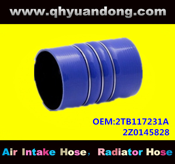 Truck SILICONE HOSE 2TB117231A  2Z0145828