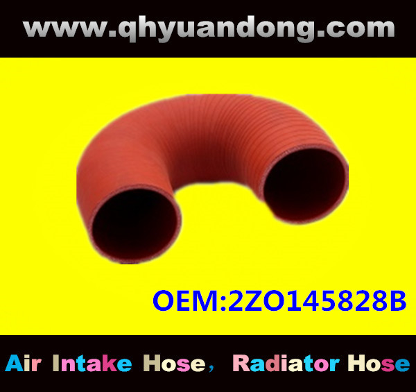 Truck SILICONE HOSE 2ZO145828B