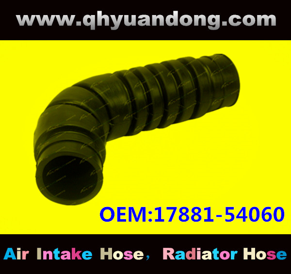 Air intake hose 17881-54060