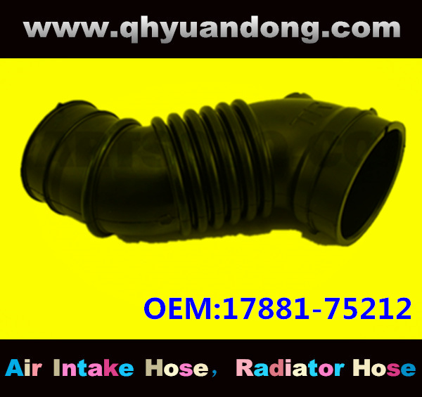 Air intake hose 17881-75212