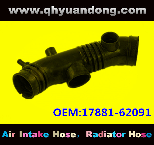 Air intake hose 17881-62091