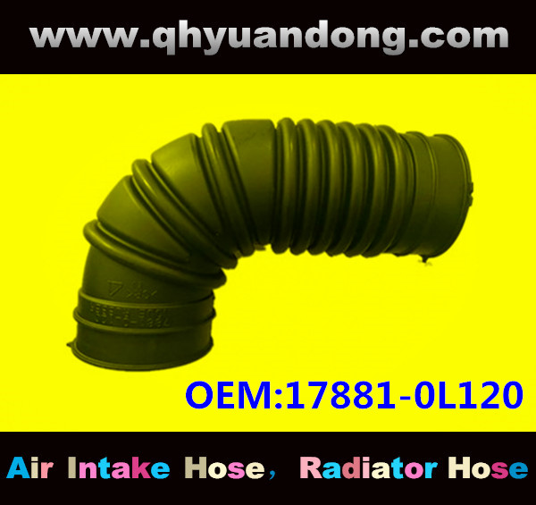 AIR INTAKE HOSE 17881-0L120