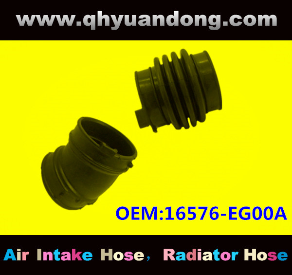 Air intake hose 16576-EG00A