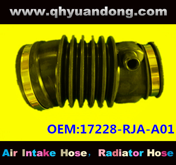 AIR INTAKE HOSE 17228-RJA-A01