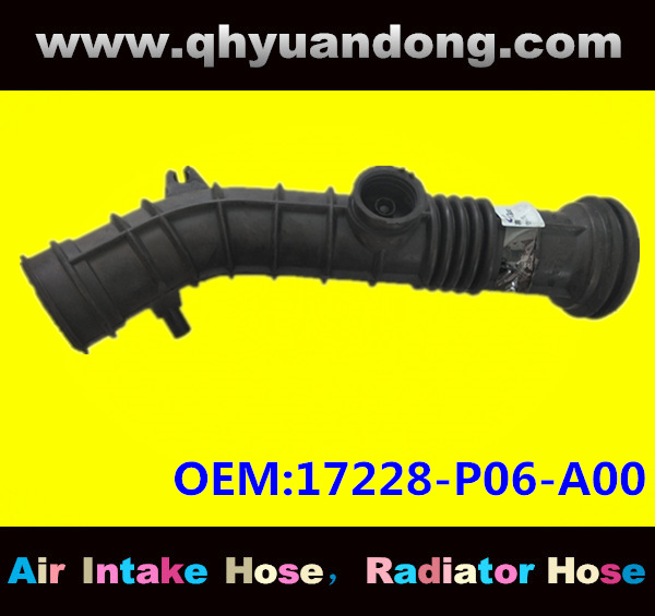 AIR INTAKE HOSE 17228-P06-A00