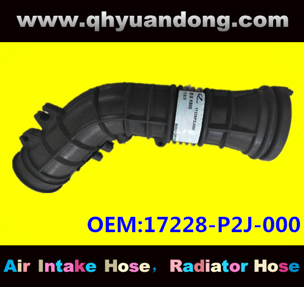 AIR INTAKE HOSE 17228-P2J-000