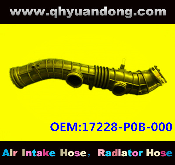 AIR INTAKE HOSE 17228-P0B-000