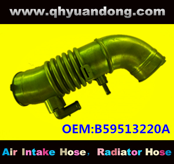 AIR INTAKE HOSE B59513220A