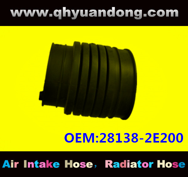 AIR INTAKE HOSE 28138-2E200