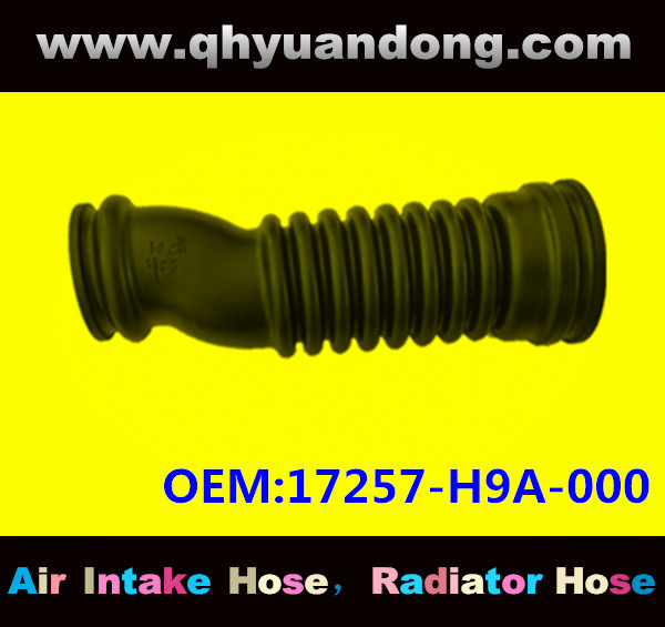 AIR INTAKE HOSE 17257-H9A-000