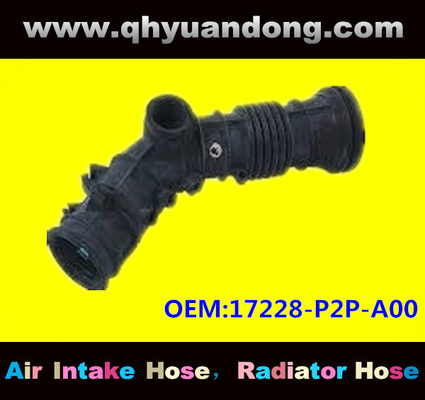 AIR INTAKE HOSE GG 17228-P2P-A00