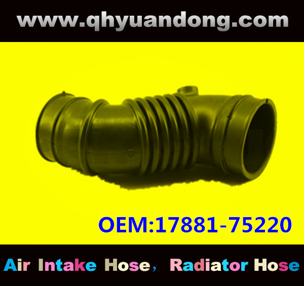 AIR INTAKE HOSE EB 17881-75220