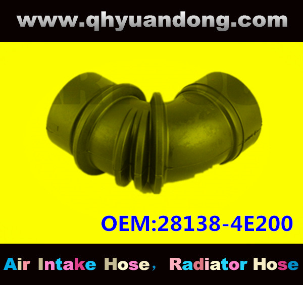 AIR INTAKE HOSE EB 28138-4E200