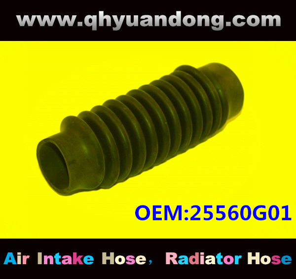 AIR INTAKE HOSE EB 25560G01