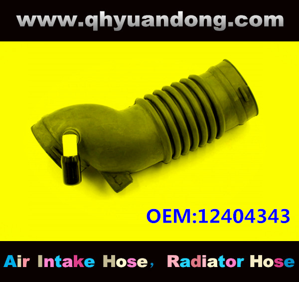 AIR INTAKE HOSE EB 12404343