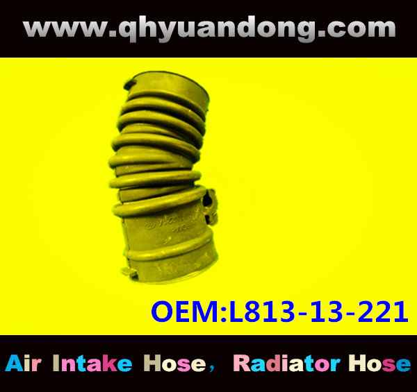 AIR INTAKE HOSE L813-13-221
