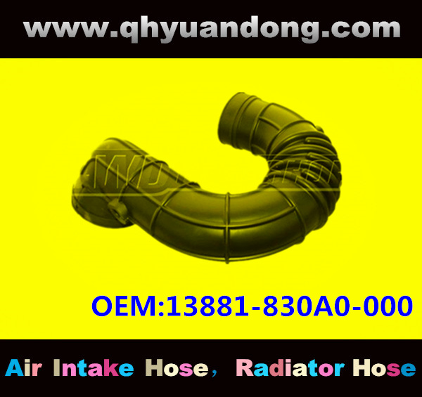 AIR INTAKE HOSE EB 13881-830A0-000